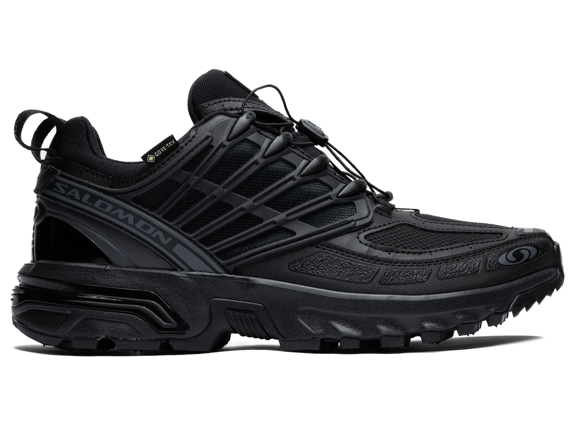 Oxford Dunks Salomon ACS Pro GTX