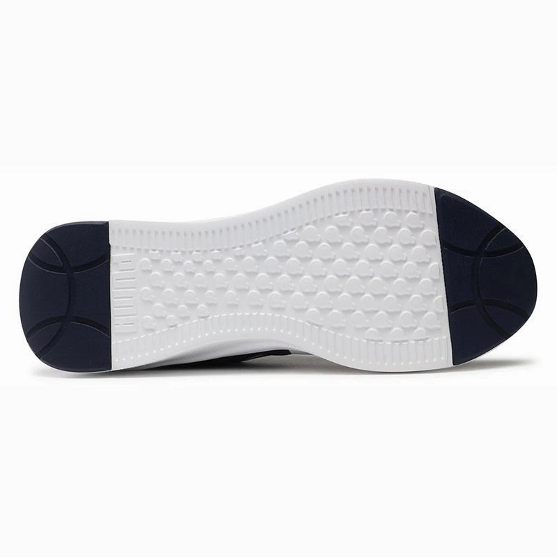 Shoes Puma Sports Puma Flyer Lite running shoes PUW10