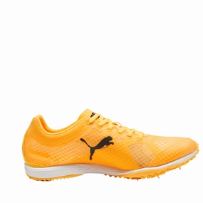 Puma Golf Ignite Articulate Shoes Puma Unisex EvoSpeed Haraka 8 Running Shoes in Sunstream/PUMA Black/PUMA White SS25