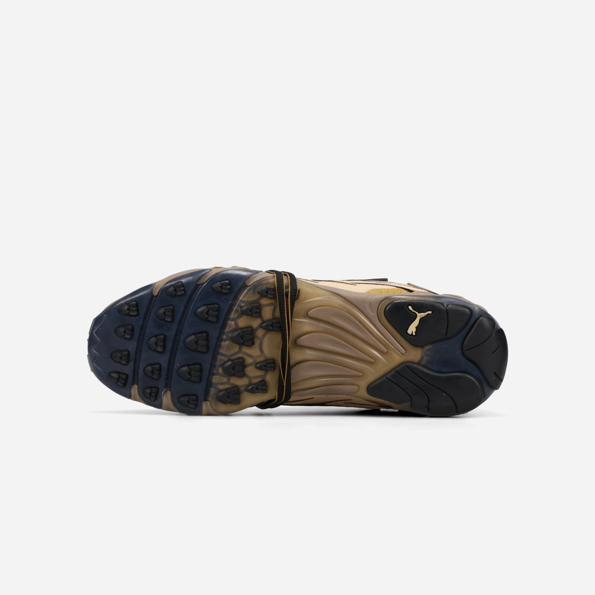 Puma Tazon 6 Cross Training Shoe PUMA INHALE LEOPARD  A$AP ROCKY