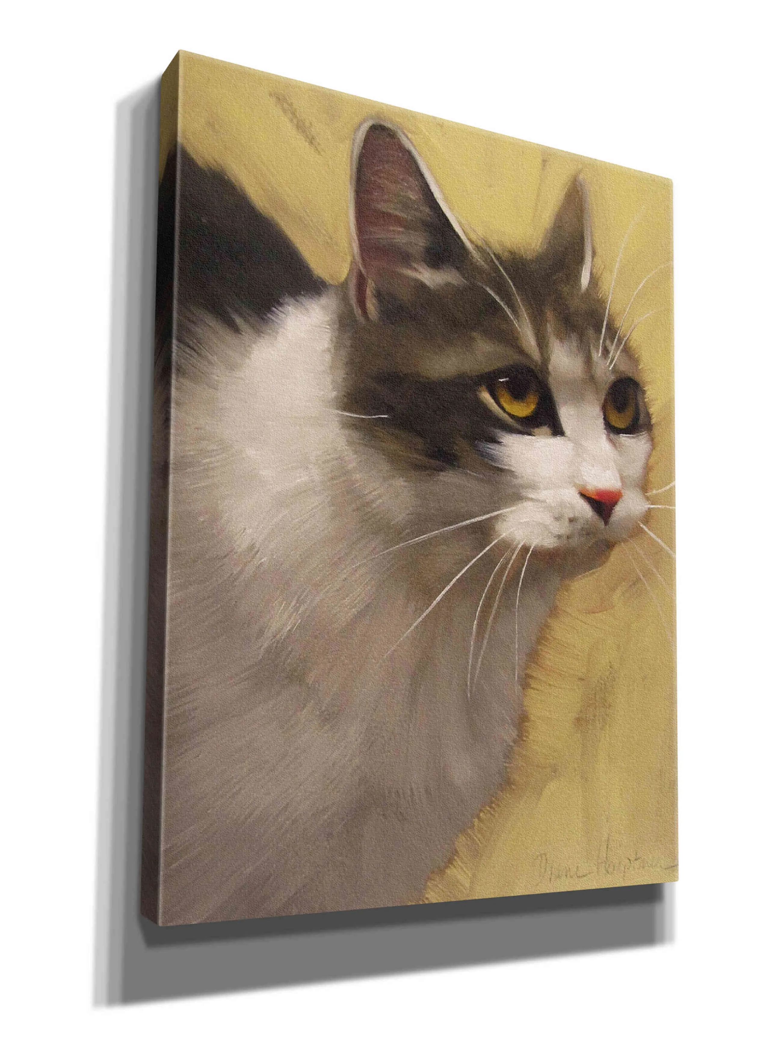 'Derby Cat' by Diane Hoeptner, Giclee Canvas Wall Art Cycling Shoes